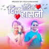 About Dil Todin Hasani Song