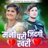 About Mani Pari Jindagi Khari Song