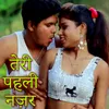 About Teri Pahli Nazar Song