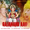 GAJANAND AAO