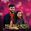 About Puilu Puilu Nepel Song