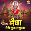 Puja Kare Sansaar