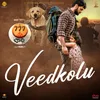 About Veedkolu Song