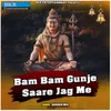 About Bam Bam Gunje Saare Jag Me Song