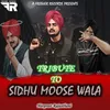 About Tribute To Sidhu Moose Wala Song