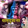 About Maha Mrityunjaya Mantra Song