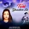 About Teri Yaadon Se Song