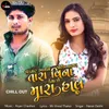 About Ekvaar Aavine Joija Pagal Tara Vina Keva Chhe Mara Haal Chillout Song