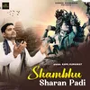 Shambhu Sharan Padi