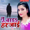 About Tu Bada Harjai Song