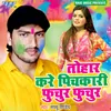 About Tohar Kare Pichkari Fhuchur Fhuchur Song