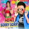 Holi Me Bhabhi Sorry Sorry