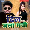 About Dil Jala Gayi Song