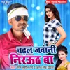 About Chadhal Jawani Nirauth Ba Song