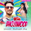 About Bhojiwood Song