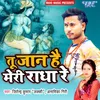 About Tu Jaan Hain Meri Radha Re Song