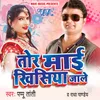 About Khela Khel Jai Re Song