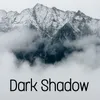 About Dark Shadow Song