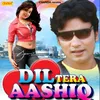 About Dil Tera Ashiq Song