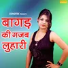About Kagaj Ki Taswer Song