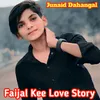 About Faijal Kee Love Story Song