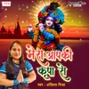 About Mera Aap Ki Kripa Se Song