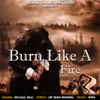 About Burn Like A Fire Song