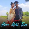 About Love Meri Tum Song