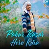 About Pakur Bazar Hero Kora Song