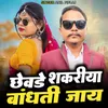 About Chhewde Shakriya Bandhti Jay Song