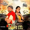 About Dam Song