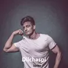 About Dilchaspi Song