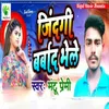 About Zindgi Barbad Bhail Song