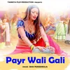 About Payr Wali Gali Song