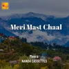 About Meri Mast Chaal Song