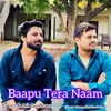About Baapu Tera Naam Song