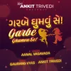 About Garbe Ghumvu Se Song