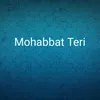 About Mohabbat Teri Song