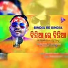 About Bindia Re Bindia Song