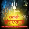 Namah Shivaya