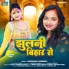 About Jhulni Bihar Se Song