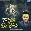 About Tu Bata De Bhole Song