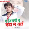 About Ai Zindagi Tu Kaha Le Aai Song