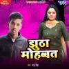 About Jhutha Mohabbat Song