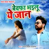 About Bewafa Bhailu Ye Jaan Song