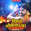 About Diwane Bholenath Ka Song