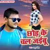 About Chhod Ke Chal Jaibu Song