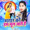 About Bhatar Ko Hum Bhul Jate Hai Song