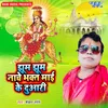About Jhum Jhum Nache Bhakt Mai Ke Duwari Song