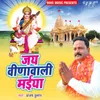 About Jai Veenawali Maiya Song